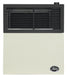Ashley Hearth DVAG11L 11,000 BTU direct vent propane wall heater — front view