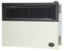 Ashley Hearth DVAG17L 17,000 BTU direct vent propane wall heater — left three-quarter angle view