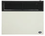Ashley Hearth DVAG30L 25,000 BTU direct vent propane wall heater — front view