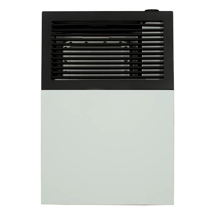 Ashley Hearth DVAG8 8,000 BTU Direct Vent Wall Heater