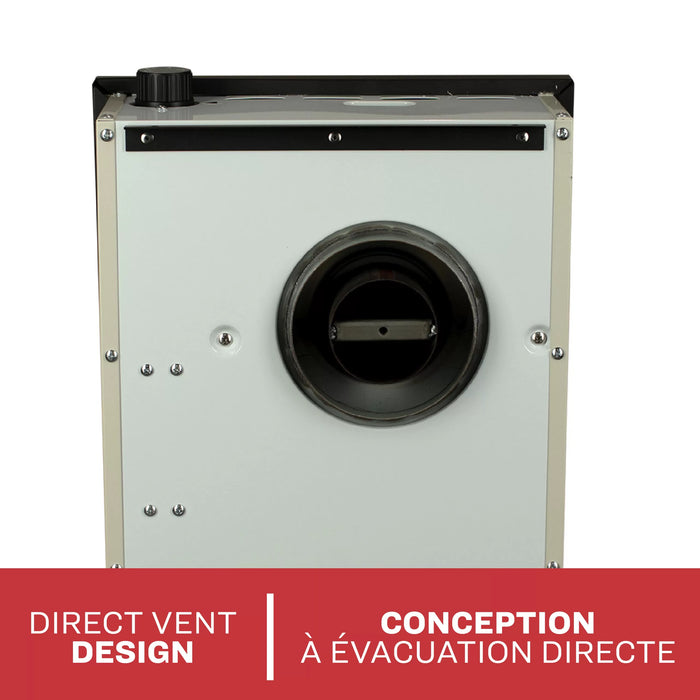 Ashley Hearth DVAG8 8,000 BTU Direct Vent Wall Heater