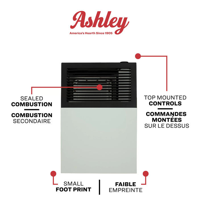 Ashley Hearth DVAG8 8,000 BTU Direct Vent Wall Heater