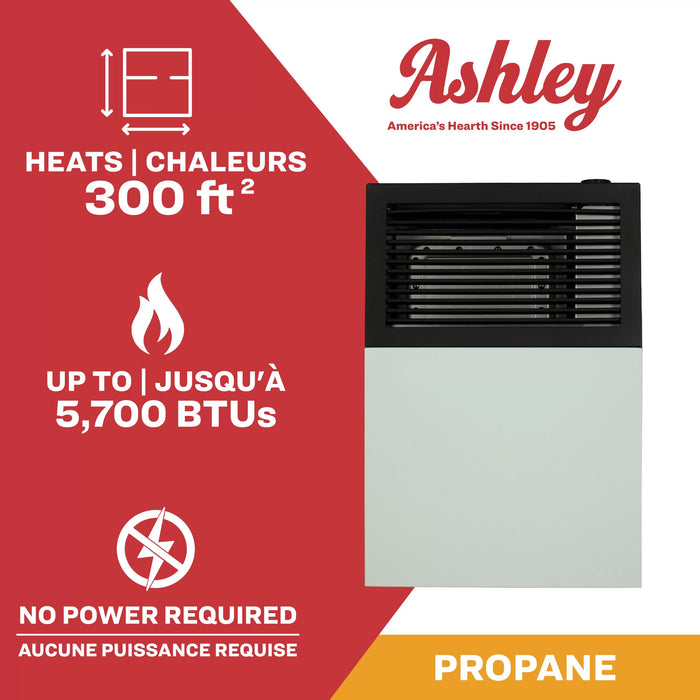 Ashley Hearth DVAG8 8,000 BTU Direct Vent Wall Heater