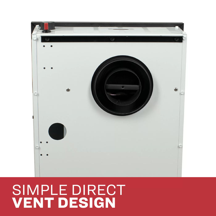 Ashley Hearth DVAG11 11,000 BTU Direct Vent Wall Heater