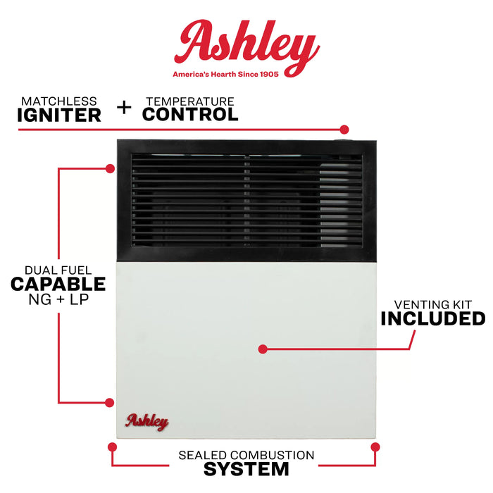 Ashley Hearth DVAG11 11,000 BTU Direct Vent Wall Heater