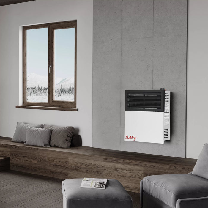 Ashley Hearth DVAG11 11,000 BTU Direct Vent Wall Heater