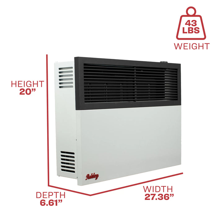 Ashley Hearth DVAG17 17,000 BTU Direct Vent Wall Heater