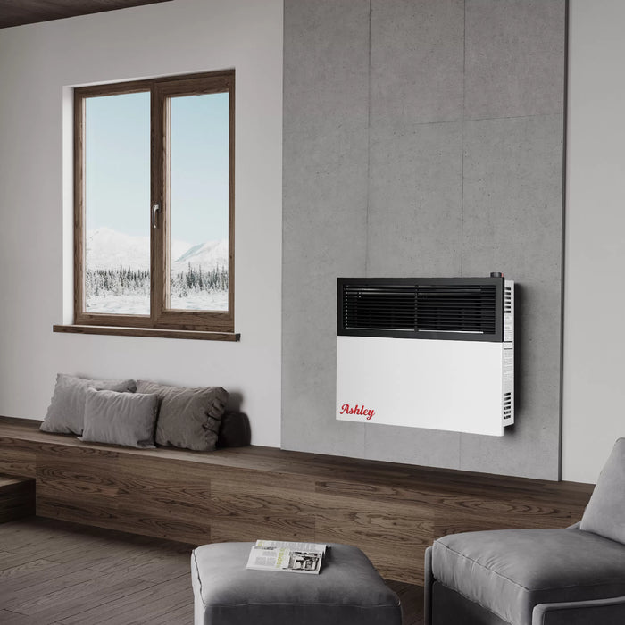 Ashley Hearth DVAG17 17,000 BTU Direct Vent Wall Heater