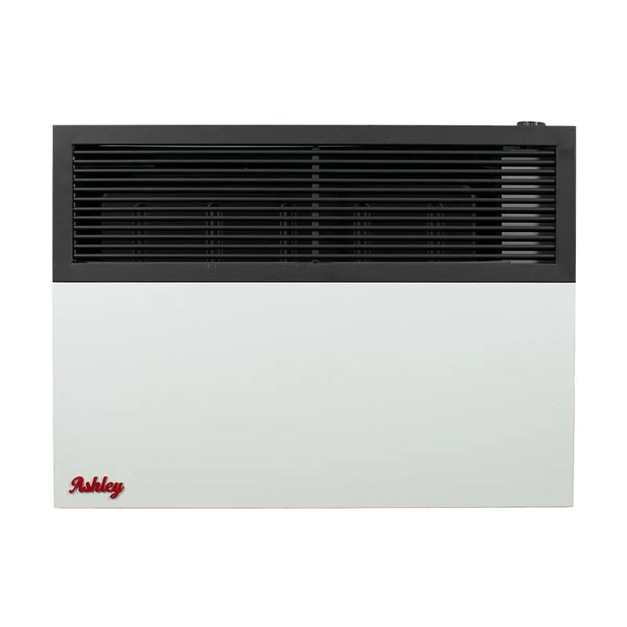 Ashley Hearth DVAG17 17,000 BTU Direct Vent Wall Heater