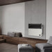 Ashley Hearth DVAG17L 17,000 BTU direct vent propane wall heater wall mounted in a living room beside a window