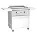 VG-30CARTPC