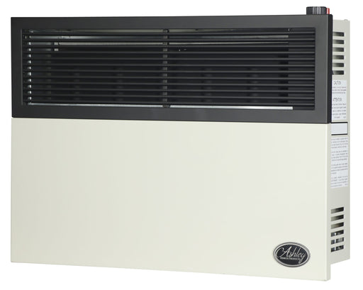 Ashley Hearth DVAG17L 17,000 BTU Direct Vent Propane Wall Heater