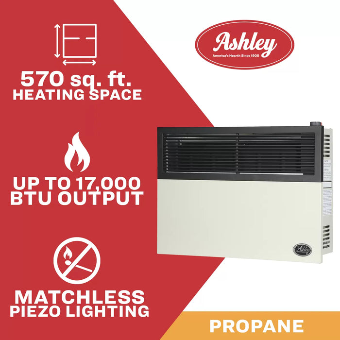 Ashley Hearth DVAG17 17,000 BTU Direct Vent Wall Heater