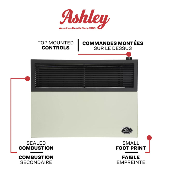 Ashley Hearth DVAG17N 17,000 BTU Direct Vent Natural Gas Wall Heater