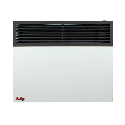 Ashley Hearth DVAG25-DF 25,000 BTU Direct Vent Dual Fuel Wall Heater