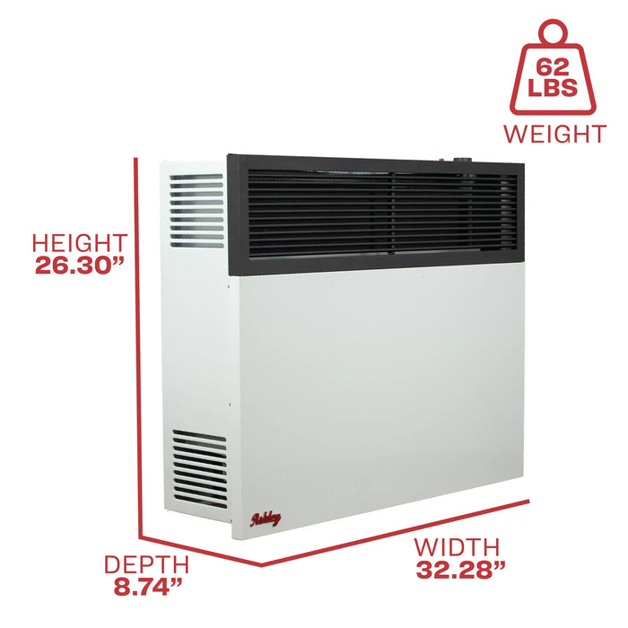 Ashley Hearth DVAG25 / DVAG30 25,000 BTU Direct Vent Wall Heater