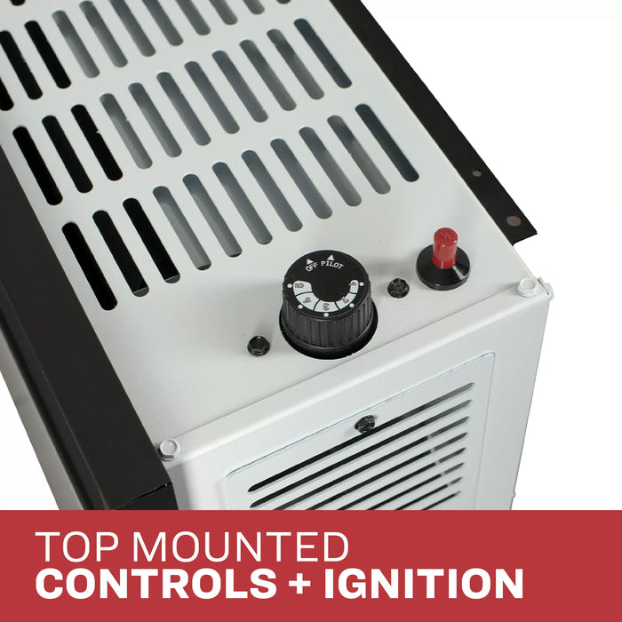 Ashley Hearth DVAG25 / DVAG30 25,000 BTU Direct Vent Wall Heater