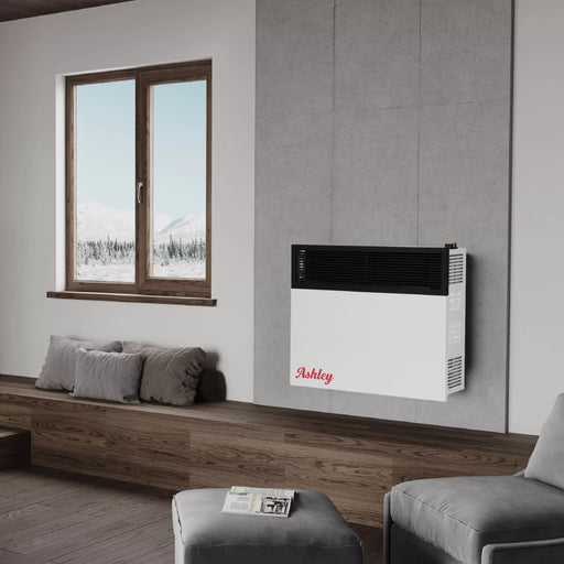 Ashley Hearth DVAG25-DF 25,000 BTU Direct Vent Dual Fuel Wall Heater
