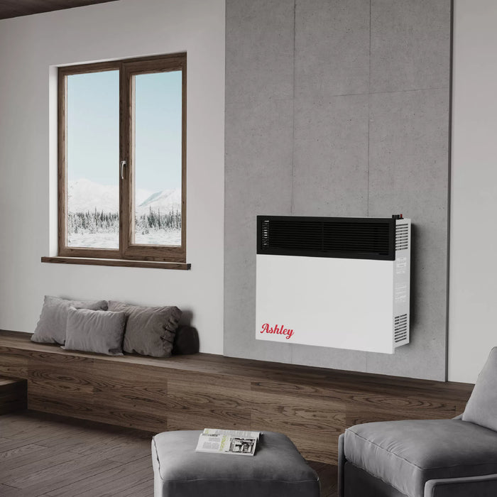 Ashley Hearth DVAG25 / DVAG30 25,000 BTU Direct Vent Wall Heater