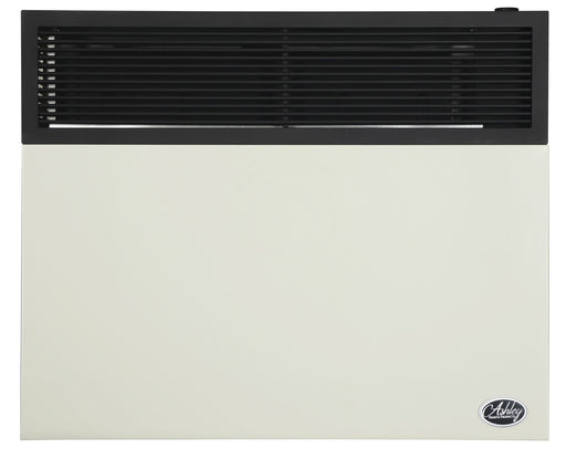 Ashley Hearth DVAG30L 25,000 BTU Direct Vent Propane Wall Heater