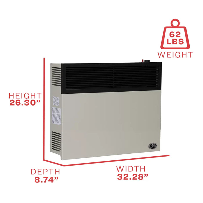 Ashley Hearth DVAG25 / DVAG30 25,000 BTU Direct Vent Wall Heater