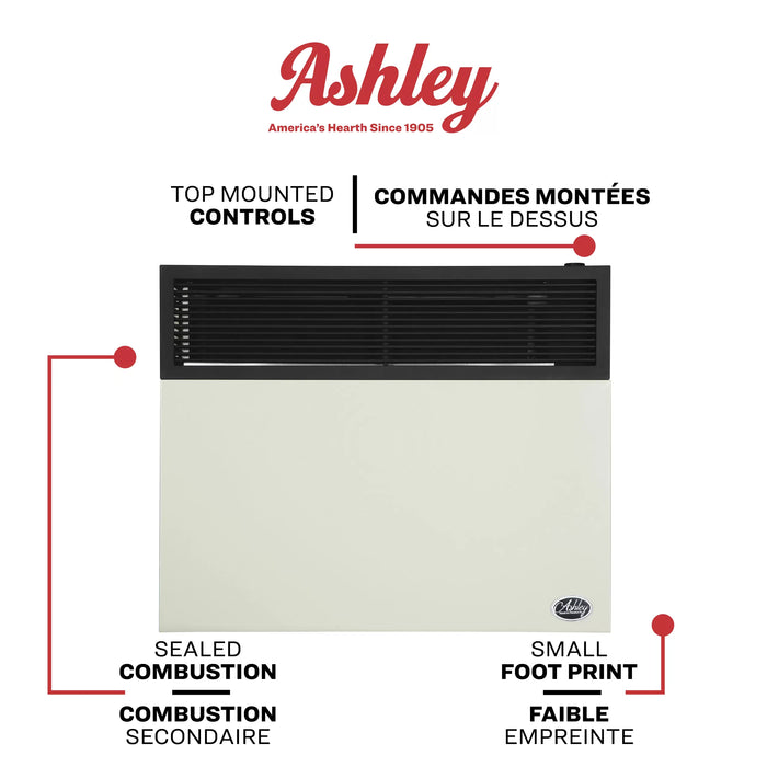 Ashley Hearth DVAG30N 25,000 BTU Direct Vent Natural Gas Wall Heater