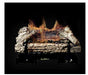 Buck Stove CR24 Millivolt Ceramic Series Vent Free Log Set