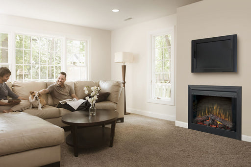 Dimplex BF Series Built-In Electric Firebox