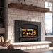 Enerzone Destination 2.7 Wood Insert