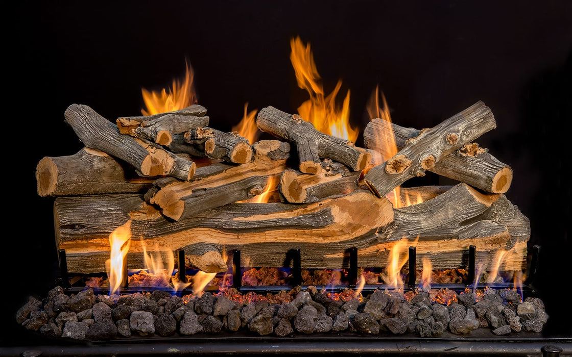 Grand Canyon Arizona Juniper 2-Burner Gas Log Burner System