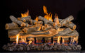 Grand Canyon Arizona Juniper 2-Burner Gas Log Burner System