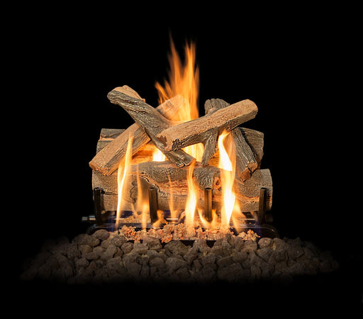 Grand Canyon Arizona Juniper 2-Burner Gas Log Burner System