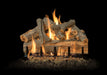 Grand Canyon Arizona Juniper 2-Burner Gas Log Burner System