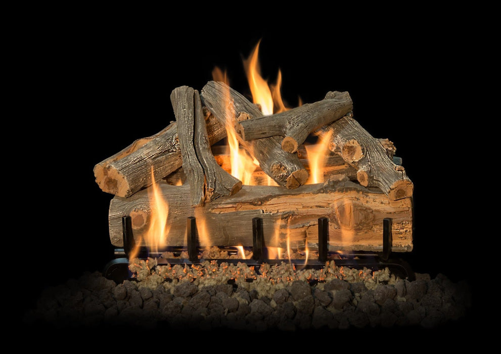 Grand Canyon Arizona Juniper 2-Burner Gas Log Burner System