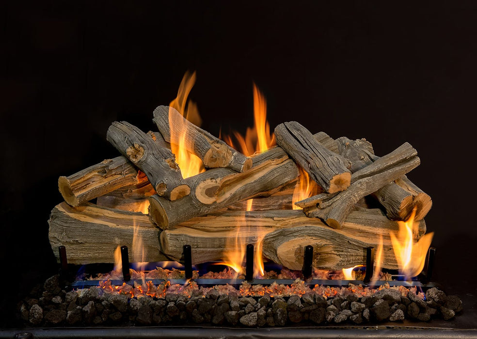 Grand Canyon Arizona Juniper 2-Burner Gas Log Burner System