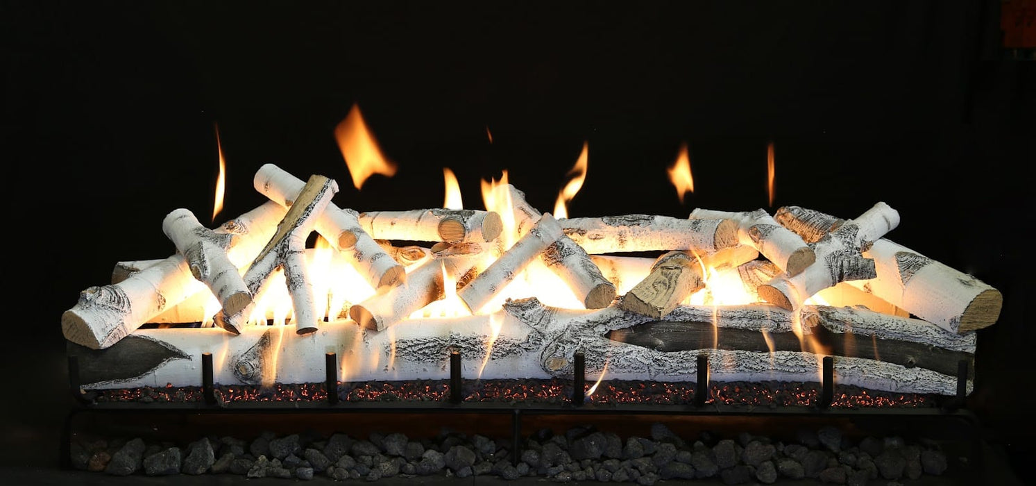 Grand Canyon Quaking Aspen 2-Burner Gas Log Burner System