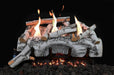 Grand Canyon Vulcan Vent-Free Aspen Birch Burner System