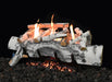 Grand Canyon Vulcan Vent-Free Aspen Birch Burner System
