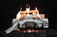 Grand Canyon Vulcan Vent-Free Aspen Birch Burner System