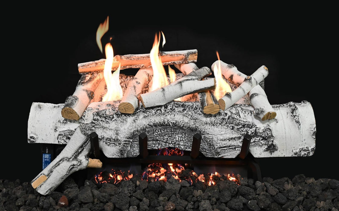 Grand Canyon Vulcan Vent-Free Aspen Birch Burner System