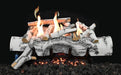 Grand Canyon Vulcan Vent-Free Aspen Birch Burner System
