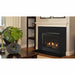 Majestic Mercury 32 installed in a living room