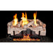 Real Fyre Charred Alpine Birch Gas Log Set