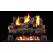 Real Fyre Evening Fyre Gas Log Set