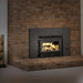 Century CW2100-I Wood Burning Insert